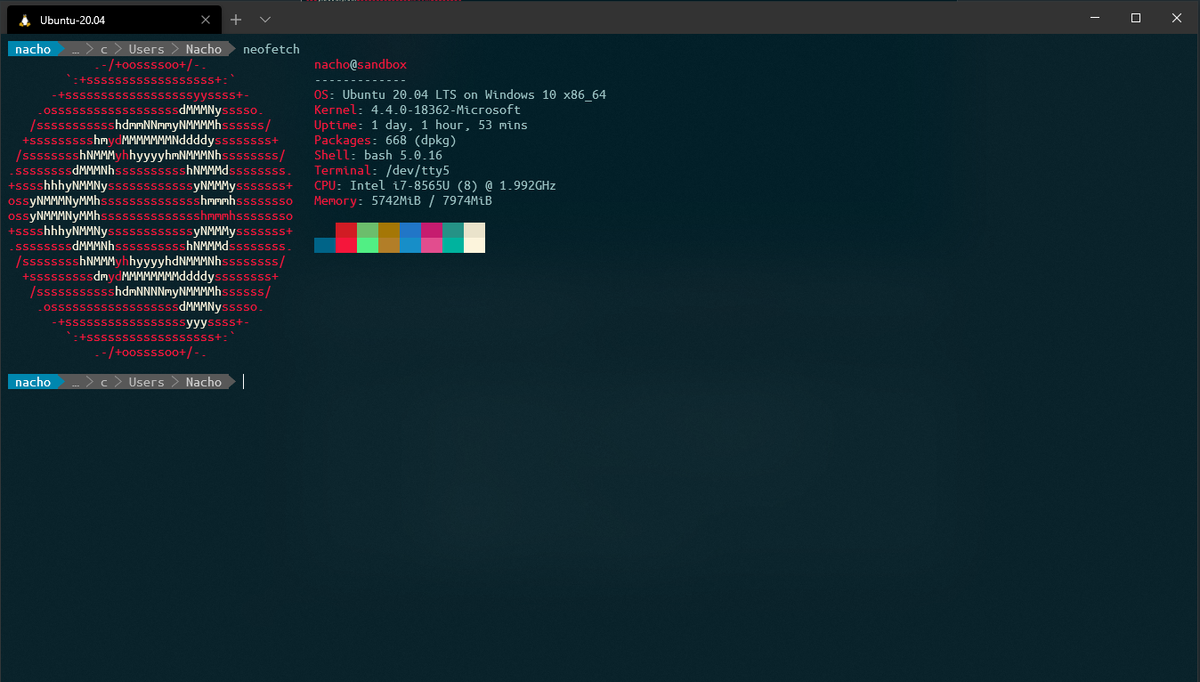 Customizando a nuestro gusto Windows Terminal Preview