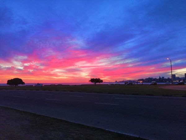 De Buenos Aires a Montevideo: ¿Cómo viene la cosa con el... trabajo?